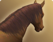 h000_hma000_thumbnail.png