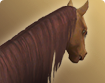 h000_hma001_thumbnail.png