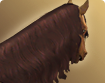 h000_hma002_thumbnail.png