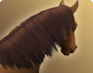 h000_hma003_thumbnail.png