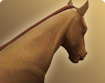 h000_hma004_thumbnail.png