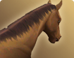 h000_hma005_thumbnail.png