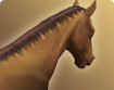 h000_hma006_thumbnail.png