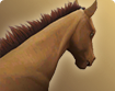 h000_hma007_thumbnail.png