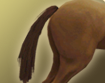 h000_htl000_thumbnail.png