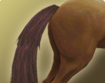 h000_htl001_thumbnail.png