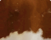 h000_skin004_thumbnail.png