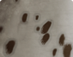 h000_skin009_thumbnail.png