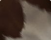 h000_skin013_thumbnail.png