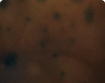 h000_skin014_thumbnail.png