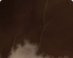 h000_skin018_thumbnail.png