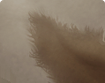 h000_skin019_thumbnail.png